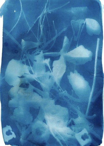 Cyanotype (also known as sun printing) is a photographic printing technique that produces striking blue and white images using light-sensitive chemicals. 