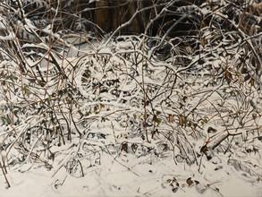 The image is a field covered in snow, depicting a winter landscape. It is tagged as winter, snow, outdoor, and nature. The additional context mentions the artist Camille Sleeman.