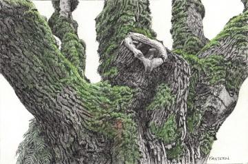 The image is a close-up sketch or drawing of a tree, created by an artist named Kenneth Pattern.