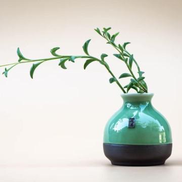The image is of a plant in a blue vase, showcasing a houseplant used for home decoration or gifting. The still life photography features a green plant indoors, adding a touch of nature to the space.